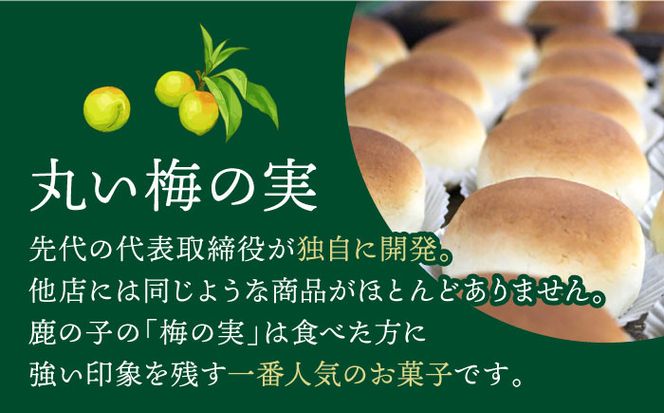 【老舗の菓子屋 鹿の子】築上銘菓「 梅の実 」15個《築上町》【有限会社　御菓子司　鹿の子】 [ABAC004]