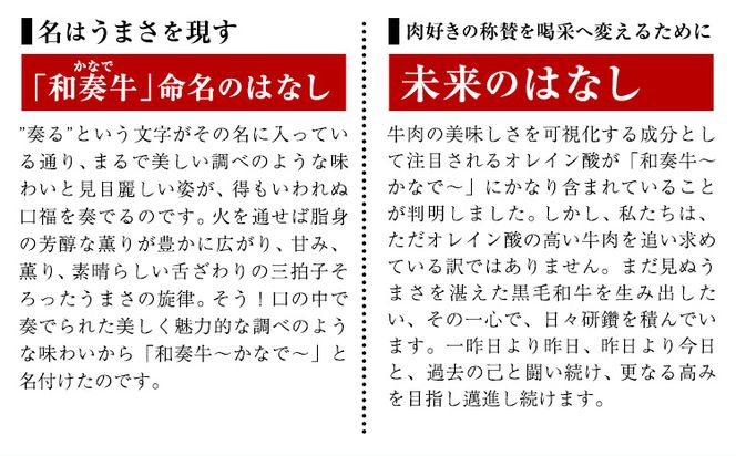 厳選くまもと黒毛和牛ハンバーグ 3個 (1個150g)《30日以内に出荷予定(土日祝除く)》熊本県 大津町 和牛焼肉LIEBE くまもと黒毛和牛 ハンバーグ 冷凍 リーベ---so_fliekrham_30d_24_10000_3p---