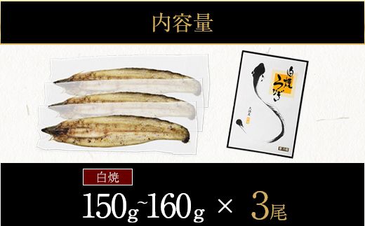 【CF002】鹿児島県大隅産　千歳鰻の白焼き鰻　3尾【CH151】