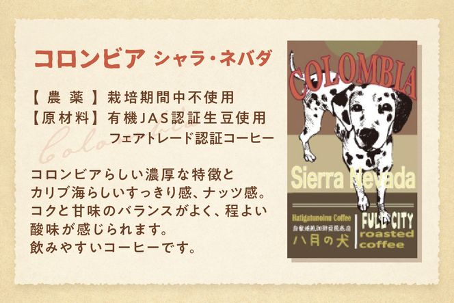 【栽培期間中農薬不使用】自家焙煎コーヒー豆　お試しセット（100gx3種）八月の犬　珈琲豆　ドリップ　飲み比べ　コホペ　HA00001