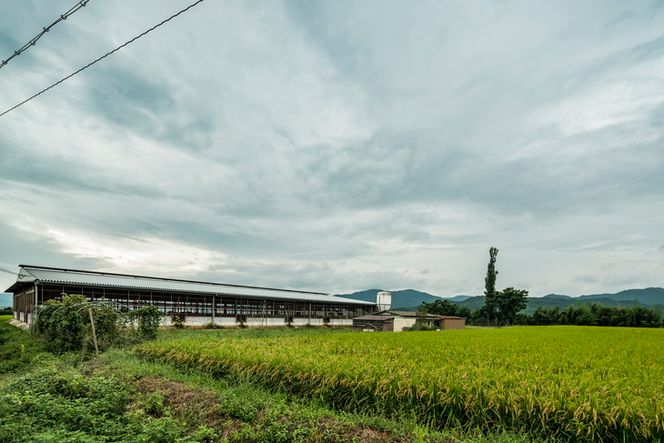 牛肉 最高級黒毛和牛『平井牛』A5 サーロインステーキ 300g 1枚＜京都丹波牧場＞ ｜ 希少 和牛 京都肉 京都産 亀岡産 冷凍 真空 ステーキ ロース 送料無料