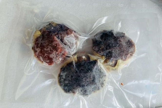 酒市の贅沢セイコガニの子宝盛　3個入　SK00179