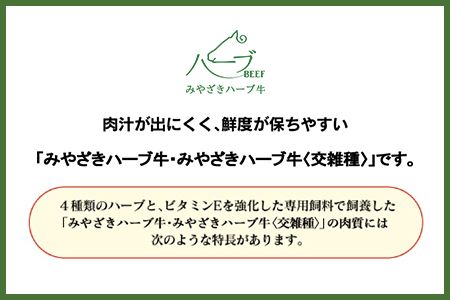 ＜みやざきハーブ牛 手ごねハンバーグ「生」（140g×10個）＞入金確認後、翌月末迄に順次出荷【c458_fw_x4】