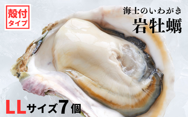 【海士のいわがき】新鮮クリーミーな高級岩牡蠣 殻付きLLサイズ×７個