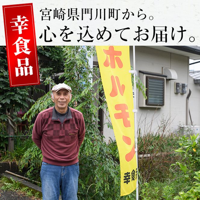 白ホルモン(約計1.2kg・200g×6P)豚肉 もつ モツ 小分け 冷凍 国産 おかず おつまみ【J-5】【幸食品】