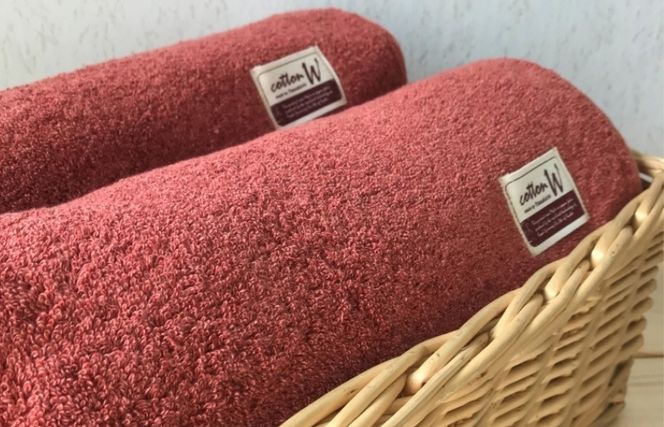 020C151 コットンＷ バスタオル 2枚（レッドブラウン）【泉州こだわりタオル】【泉州タオル 国産 吸水 普段使い 無地 シンプル 日用品 家族 ファミリー】