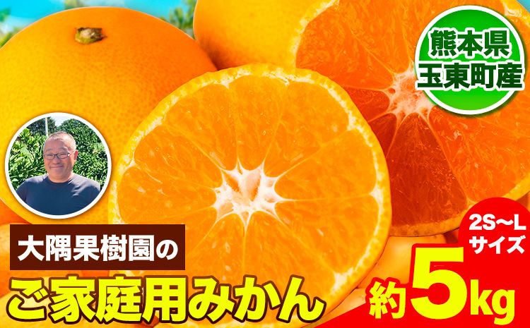 『大隅果樹園』のご家庭用みかん 約5kg(2S~Lサイズ) 大隅果樹園[10月下旬-12月下旬頃出荷]熊本県 玉名郡 玉東町 みかん 柑橘 フルーツ 果物 ご家庭用 訳あり---sg_wosumikan_p1012_24_7500_5kg---