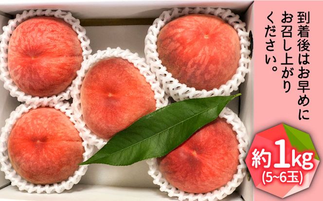 【2026年6月〜発送】どちらが届くかはお楽しみ！温室桃 約1kg / 日川白鳳 or ももか / 桃 もも フルーツ 果物 / 南島原市 / 川田農園 [SAP002]