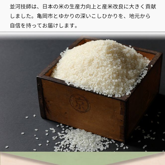 米 コシヒカリ 計30kg 5kg×6回 精米したて お米 定期便 四国 徳島県