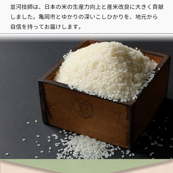 令和4年コシヒカリ 一等米 玄米30kg 生産者直売 つくば - 食品