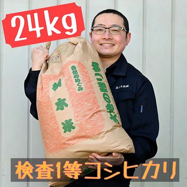 栃木県産 コシヒカリ 玄米24kg【検査1等米】