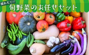 【数量限定】旬野菜のお任せセット [AH06-NT]