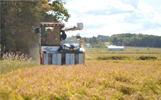 令和7年産 三笠産のおいしい米 ゆめぴりか(10kg)《令和７年10月頃より発送予定》【2700101】