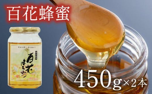 はちみつ 国産百花蜜 (450g×2) 蜂蜜 ハチミツ 国産蜂蜜 百花 備蓄 [E2-02]