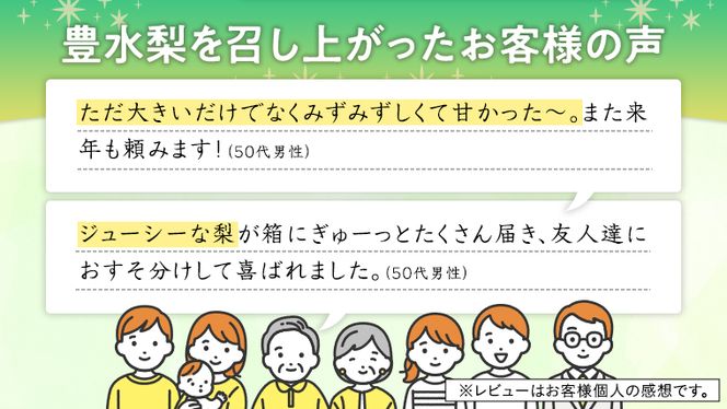 【 JA 北つくば 】 筑西ブランド 認証品 豊水 10kg 2025年産 先行予約 梨 果物 フルーツ なし ナシ [AE011ci]