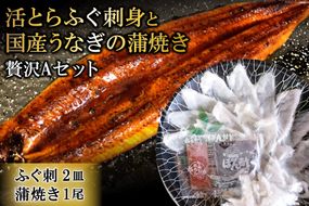 AF049活とらふぐ刺身と国産うなぎの蒲焼き贅沢Aセット（ふぐ刺2皿・蒲焼き1尾）