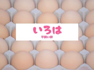 全体的に甘みとコクのある黄身が特徴 ワタナベファームの優等生な末っ子【平飼い卵いろは】