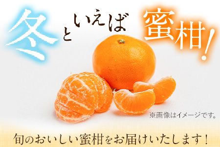 山本果樹園の旬のみかん 10kg 山本果樹園《９月中旬-2月末頃出荷予定》蜜柑 柑橘 ひのあかり 日南 豊福　肥後早生 青島 旬の品種をお届け！フルーツ 果物---sh_ymmtmkn_bc92_24_14500_10kg---