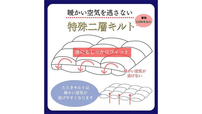 【3色から選べる】＜京都金桝＞羽毛布団 エフィットプラス シングル カナダマザーホワイトグースダウン95％ 羽毛量1.3kg ≪羽毛ふとん 日本製 国産 寝具 布団 DP440 京都亀岡産 ふるさと納税布団 新生活≫