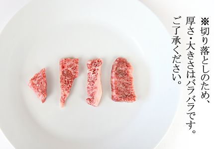 ＜宮崎牛サイコロステーキ ＆ 宮崎牛トモバラ切落とし（焼肉）合計1.0kg＞翌月末迄に順次出荷【a0382_ty】