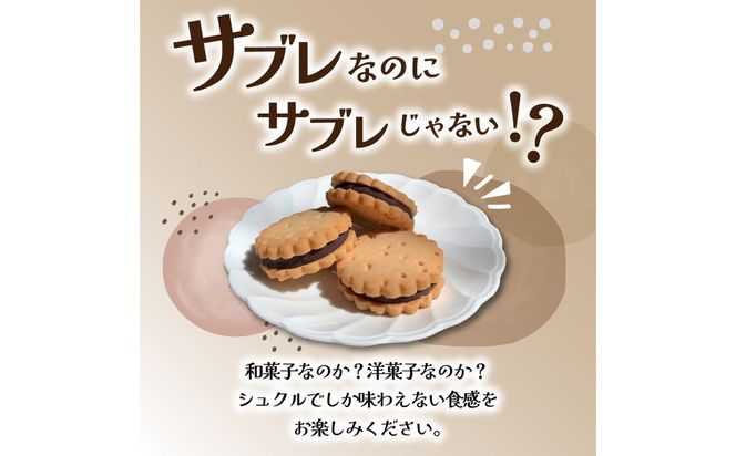 【J01035】大分銘菓 塩サブレ ミックス 10個入り