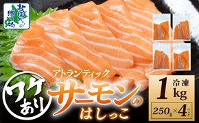 099H3428 サーモン はしっこ 1kg 訳あり 250g×4【アトランティックサーモン 北国からの贈り物 世界No.1サーモンメーカー 刺身 海鮮丼 サラダ 鮭 さけ シャケ しゃけ さーもん オススメ 小分け 冷凍】