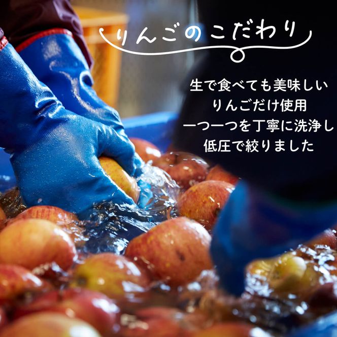 アップル ワイン 500ml 1本 りんご 林檎 りんごワイン 酒 果実酒 米崎りんご [56500635]