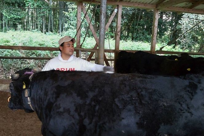 【C-150】＜なかむら謹製＞【博多和牛】黒毛和牛ももすき焼き用うす切り500g