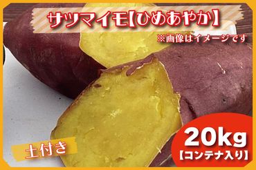 BZ-27 【先行予約】【2023年度産】20kgコンテナ入りサツマイモ（ひめあやか）
