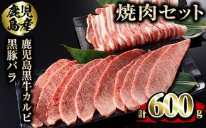 【11467】鹿児島黒牛カルビと黒豚バラの焼肉セット(合計600g・各300g)【デリカフーズ】