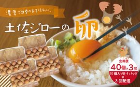 【定期便3回】濃厚でコクのある味わい！のびのび育った土佐ジローの自然卵40個（10個入り×4パック）【合計120個】卵 玉子 たまご 鶏卵 土佐ジロー 自然卵 新鮮 旨味 濃厚 コク 自慢 こだわり卵 高知 高知県 四万十市 25-1015