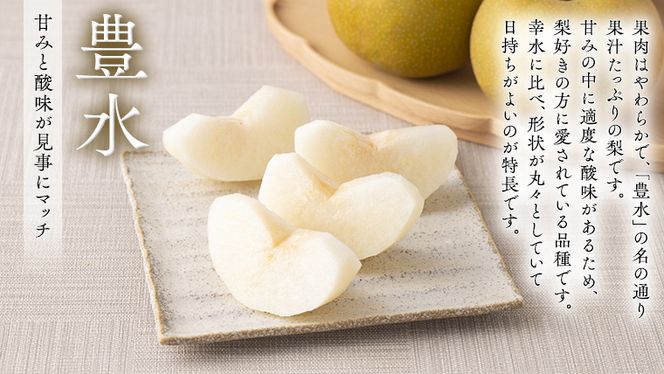 【 JA 北つくば 】 筑西ブランド 認証品 豊水 5kg 2026年産 先行予約 梨 果物 フルーツ なし ナシ 豊水梨 くだもの デザート 茨城 [AE010ci]