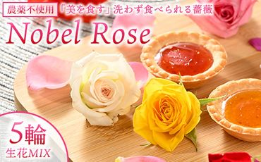 『美を食す』 Nobel Rose 生花MIX 5輪｜通年出荷 食用バラ 薔薇