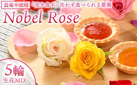 yȖ،szwHx Nobel Rose MIX 5ցbʔNo Hpo KN