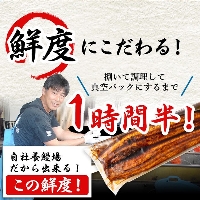 12030】東串良町のうなぎ蒲焼カットときざみうなぎのおためし 12030】東串良町のうなぎ蒲焼カットときざみうなぎのおためし