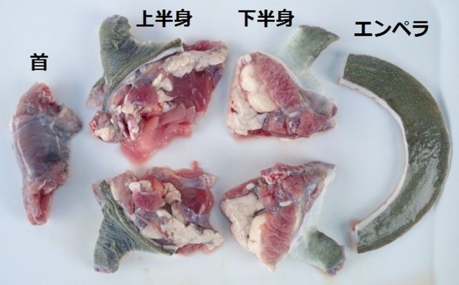 【オキハム】自社養殖！四つ切り「琉球すっぽん」