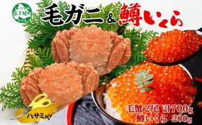 3629. 毛蟹 2尾 計700g前後 鱒いくら醤油漬け 200g 専用ハサミ・食べ方ガイド付き 毛ガニ 毛がに 蟹 カニ  鱒いくら いくら 醤油漬け ボイル 送料無料 北海道 弟子屈町