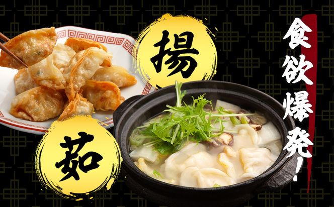 だぶだぶの肉汁をすすりたくなる餃子 90個（30個入×3パック） BE007