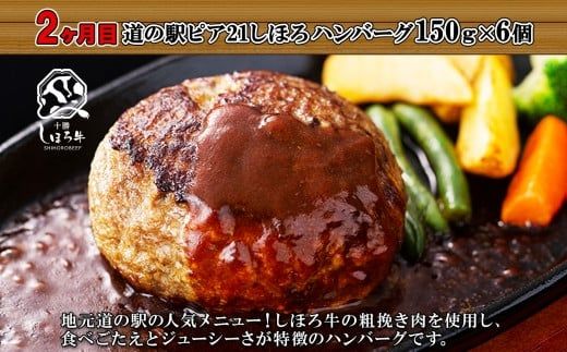 定期便 北海道 しほろ ハンバーグ 全4回 しほろ牛 道の駅 ピア21しほろ 北秀牛 ビーフ ハンバーグステーキ beef 牛肉 赤身肉 国産牛 肉 セット 加工品 おかず 惣菜 お惣菜 国産 冷凍 詰合せ お取り寄せ 送料無料 十勝 士幌町【X23a】