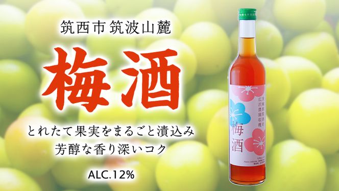 梅酒 アルコール 12％ （ 500ml × 1本 ） 果実酒 お酒 酒 梅 うめ ウメ [DP001ci]