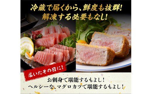 漁協直送！キハダマグロブロック（生）1kg 【 鮪 まぐろ 刺身 マグロ 漬け 新鮮 冷蔵 海の幸 魚介 送料無料 】[H170801]
