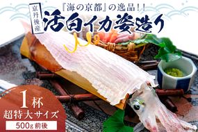 【先行予約】京丹後産『海の京都』の逸品！！　活白イカ姿造り（クリスタル白いか）超特大サイズ 1杯（500g前後）（2025年6月上旬～発送）　YK00302