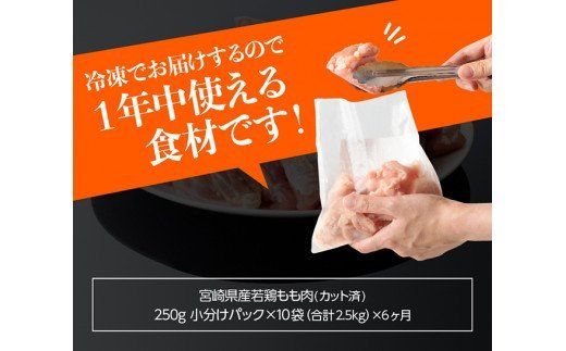 【６ヶ月定期便】宮崎県産若鶏もも切身 計2.5㎏（250g×10袋） 肉 鶏 鶏肉 もも肉[D00705t6]