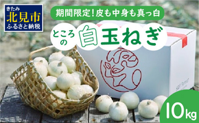 【予約：2026年7月中旬から順次発送】ところの白玉ねぎ 10kg ( 玉ねぎ タマネギ 玉葱 野菜 白玉ねぎ 10キロ 期間限定 辛みが少ない 生食 )【121-0008-2026】