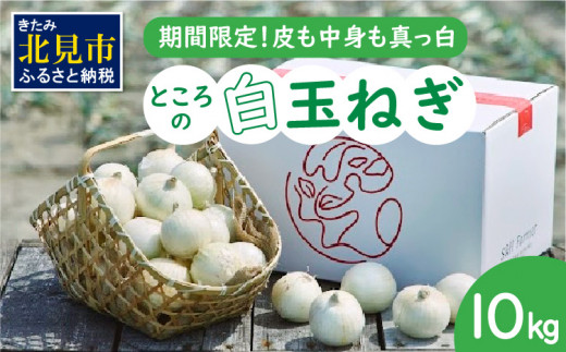 【予約：2026年7月中旬から順次発送】ところの白玉ねぎ 10kg ( 玉ねぎ タマネギ 玉葱 野菜 白玉ねぎ 10キロ 期間限定 辛みが少ない 生食 )【121-0008-2026】