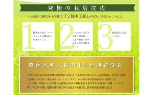 【A5-269】八女星野茶 星乃紫苑 煎茶100g×1 深蒸茶100g×1