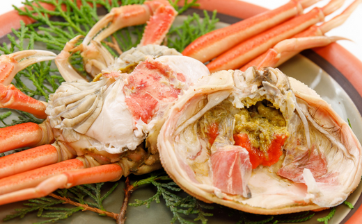 【兵庫県香住産 釜茹でセコガニ 6～10匹 約1.2kg 冷蔵】カニの本場兵庫県香美町 香住漁港 柴山漁港で水揚げ 釜茹でのプロが茹で上げ セコ蟹は松葉ガニのメス プチプチ外子 濃厚な内子 漁期がわずか2カ月間 貴重な海の幸 コッペガニ 香箱蟹 親ガニ 水揚げ当日に茹でたてを発送 到着すぐそのままお召し上がり頂けます 日本海 宿院商店 42000円 33-23