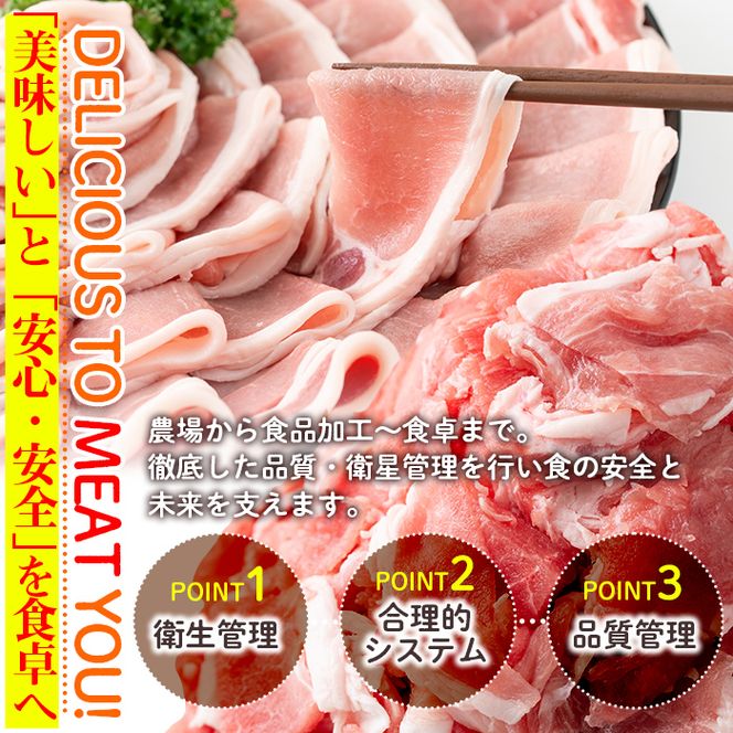isa452 ＜訳あり＞鹿児島県産豚ローススライス (計2kg・500g×4P)【コワダヤ】
