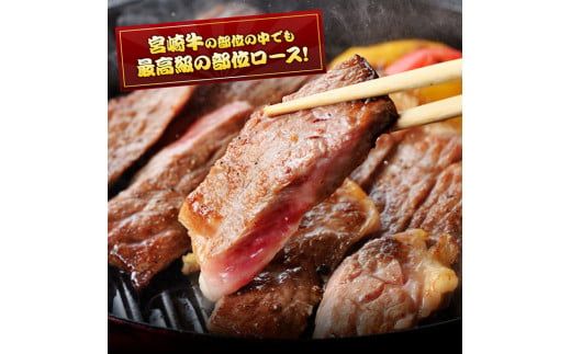 ５等級！宮崎牛ロースステーキ500g 肉 牛 牛肉 国産 黒毛和牛[D0612]