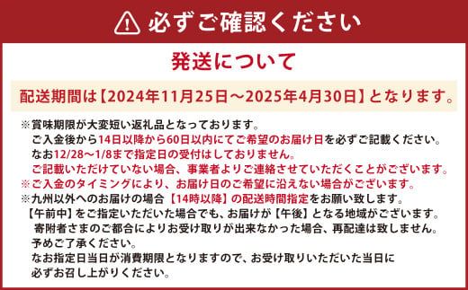 【指定日必須】天草産 活車海老 500g【発送期間2024年11月25日から2025年4月30日】